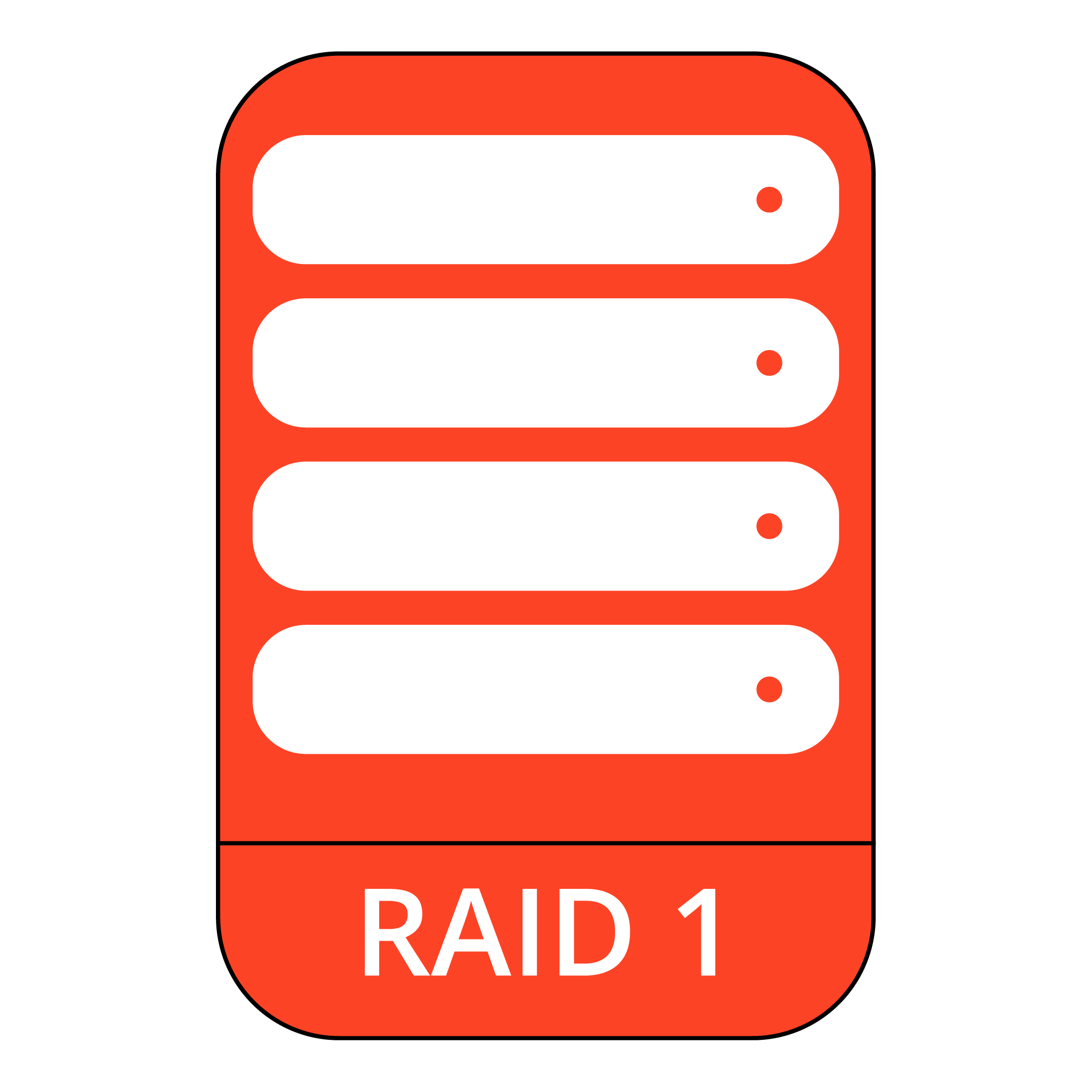 RAID 1 Data Recovery