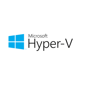 Microsoft Hyper-V Server Recovery