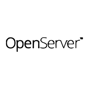 OpenServer Recovery