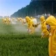 pesticides-and-chemicals