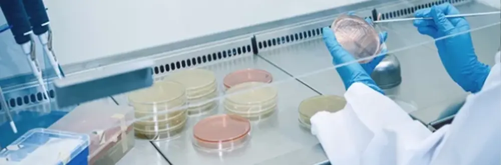 The Compliance and Health Risks of Skipping E. coli and Total Coliform Testing in Industrial and Commercial Facilities